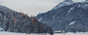 Preview wallpaper mountains, road, snow, marking, trees