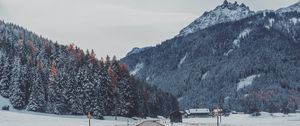 Preview wallpaper mountains, road, snow, marking, trees