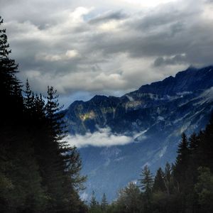 Preview wallpaper mountains, road, spruce, trees, marking
