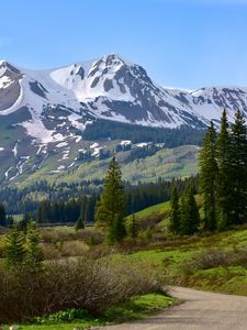 Preview wallpaper mountains, road, spruce, trees, snowy