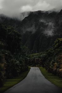 Preview wallpaper mountains, road, trees, palms, fog