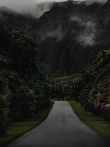 Preview wallpaper mountains, road, trees, palms, fog