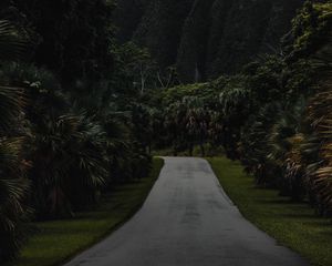 Preview wallpaper mountains, road, trees, palms, fog