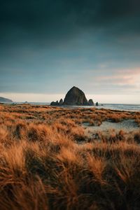 Preview wallpaper mountains, rock, grass, dry