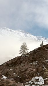 Preview wallpaper mountains, rock, spruce, snow, nature