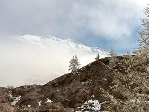 Preview wallpaper mountains, rock, spruce, snow, nature