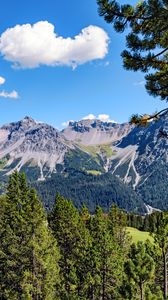 Preview wallpaper mountains, rocks, branches, trees, sky, clouds