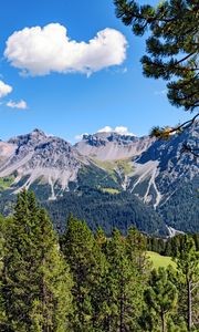 Preview wallpaper mountains, rocks, branches, trees, sky, clouds