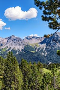 Preview wallpaper mountains, rocks, branches, trees, sky, clouds