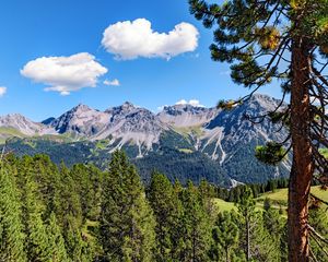 Preview wallpaper mountains, rocks, branches, trees, sky, clouds