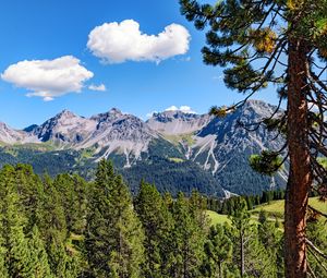 Preview wallpaper mountains, rocks, branches, trees, sky, clouds