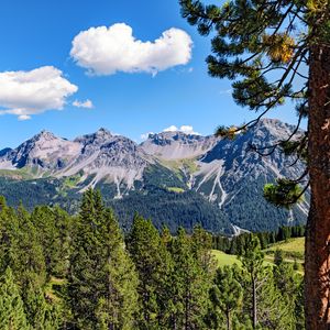 Preview wallpaper mountains, rocks, branches, trees, sky, clouds