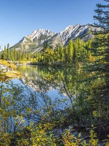 Preview wallpaper mountains, rocks, branches, trees, lake