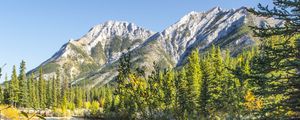 Preview wallpaper mountains, rocks, branches, trees, lake