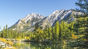 Preview wallpaper mountains, rocks, branches, trees, lake