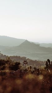 Preview wallpaper mountains, rocks, cacti, bushes