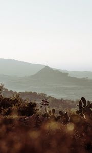 Preview wallpaper mountains, rocks, cacti, bushes