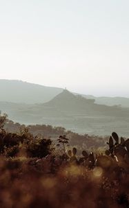 Preview wallpaper mountains, rocks, cacti, bushes