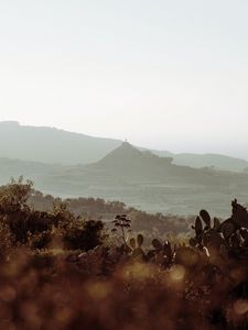 Preview wallpaper mountains, rocks, cacti, bushes