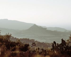 Preview wallpaper mountains, rocks, cacti, bushes