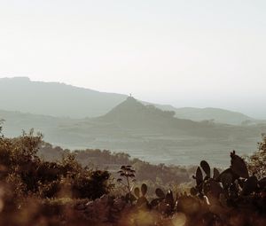 Preview wallpaper mountains, rocks, cacti, bushes