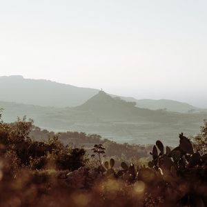 Preview wallpaper mountains, rocks, cacti, bushes