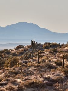 Preview wallpaper mountains, rocks, cacti, landscape, nature