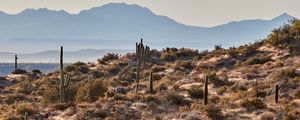 Preview wallpaper mountains, rocks, cacti, landscape, nature