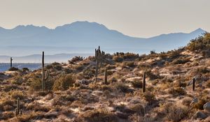 Preview wallpaper mountains, rocks, cacti, landscape, nature