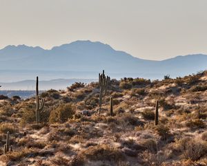 Preview wallpaper mountains, rocks, cacti, landscape, nature