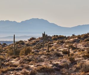 Preview wallpaper mountains, rocks, cacti, landscape, nature