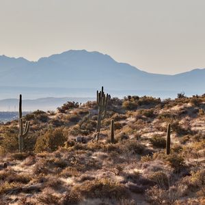 Preview wallpaper mountains, rocks, cacti, landscape, nature
