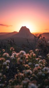 Preview wallpaper mountains, rocks, flowers, sunset, peak