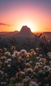 Preview wallpaper mountains, rocks, flowers, sunset, peak