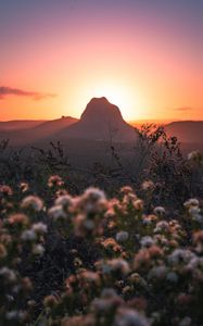 Preview wallpaper mountains, rocks, flowers, sunset, peak