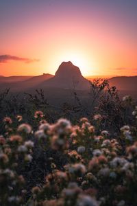 Preview wallpaper mountains, rocks, flowers, sunset, peak