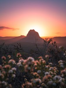 Preview wallpaper mountains, rocks, flowers, sunset, peak