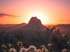 Preview wallpaper mountains, rocks, flowers, sunset, peak