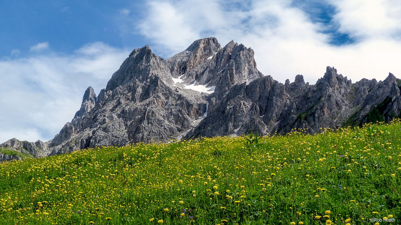 Wallpaper mountains, rocks, flowers, field, sky