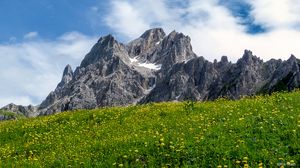 Preview wallpaper mountains, rocks, flowers, field, sky