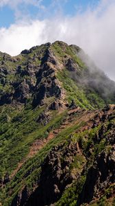 Preview wallpaper mountains, rocks, fog, nature, trees, landscape