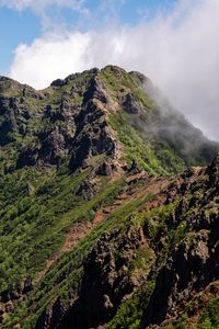 Preview wallpaper mountains, rocks, fog, nature, trees, landscape