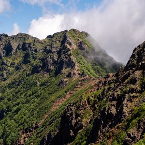 Preview wallpaper mountains, rocks, fog, nature, trees, landscape