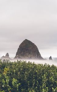 Preview wallpaper mountains, rocks, fog, bushes, cloudy