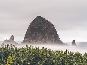 Preview wallpaper mountains, rocks, fog, bushes, cloudy