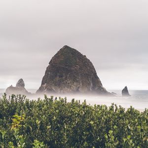 Preview wallpaper mountains, rocks, fog, bushes, cloudy