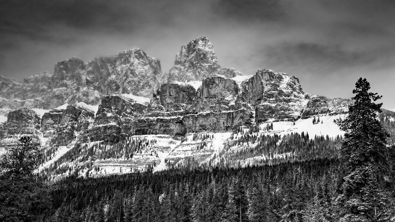 Wallpaper mountains, rocks, forest, trees, snow, nature, black and white