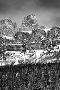 Preview wallpaper mountains, rocks, forest, trees, snow, nature, black and white