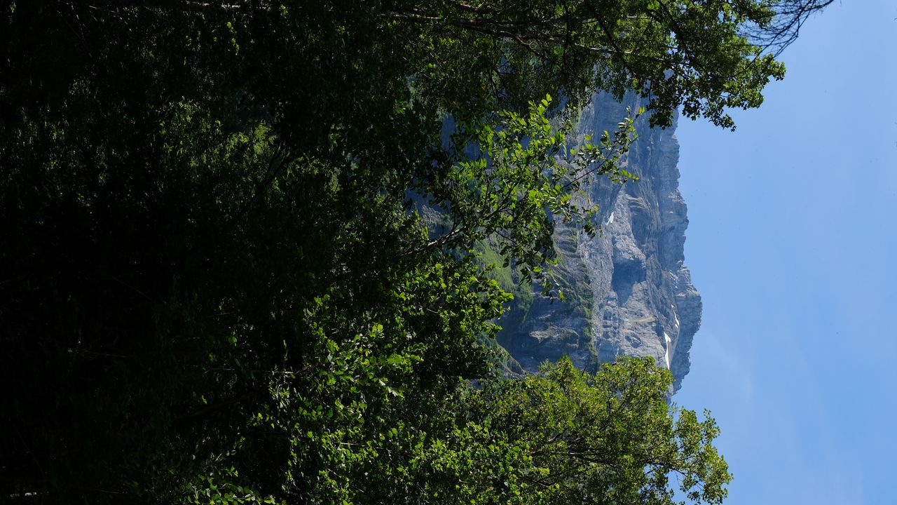 Wallpaper mountains, rocks, forest, trees, nature, summer