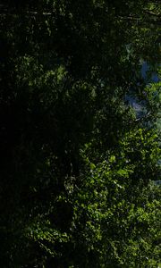 Preview wallpaper mountains, rocks, forest, trees, nature, summer